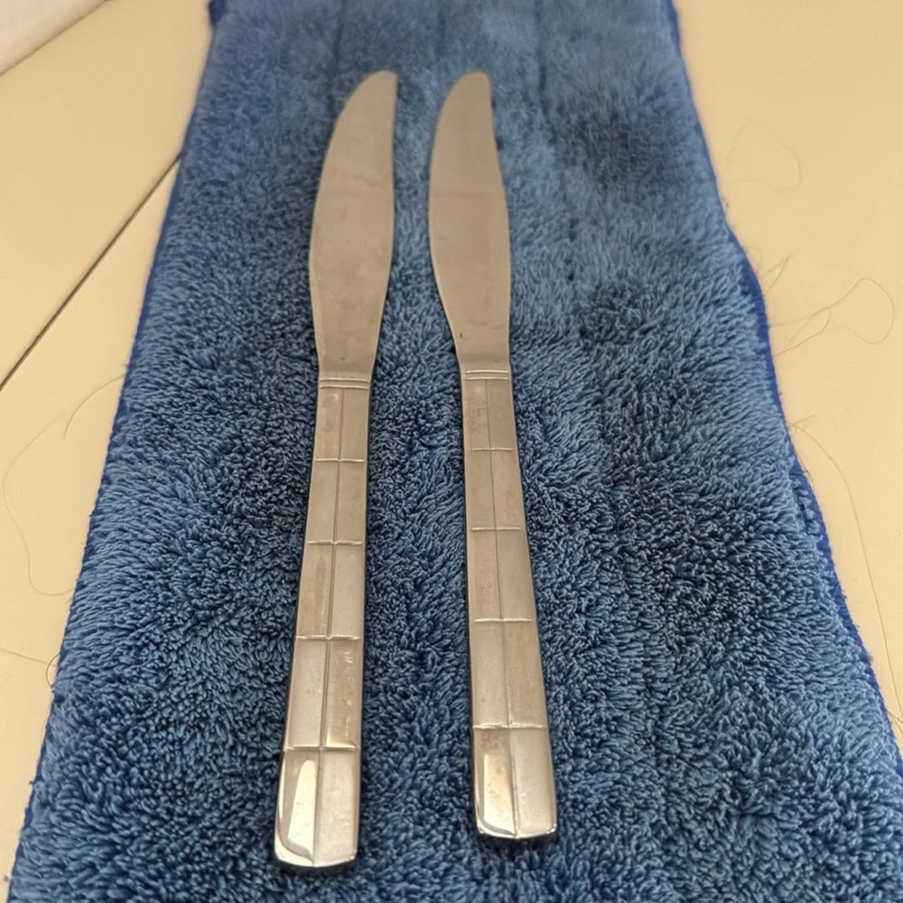 Landscape by Cambridge Stainless Table Knives Set of Two Discontinued Piece